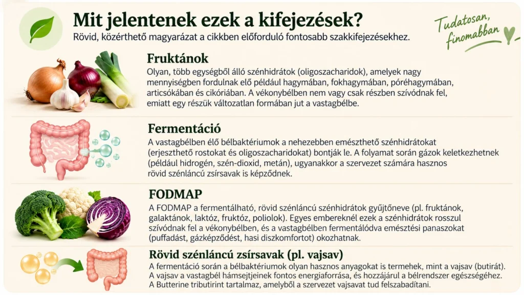 Puffasztó zöldségek – fruktánok, fermentáció és FODMAP magyarázata