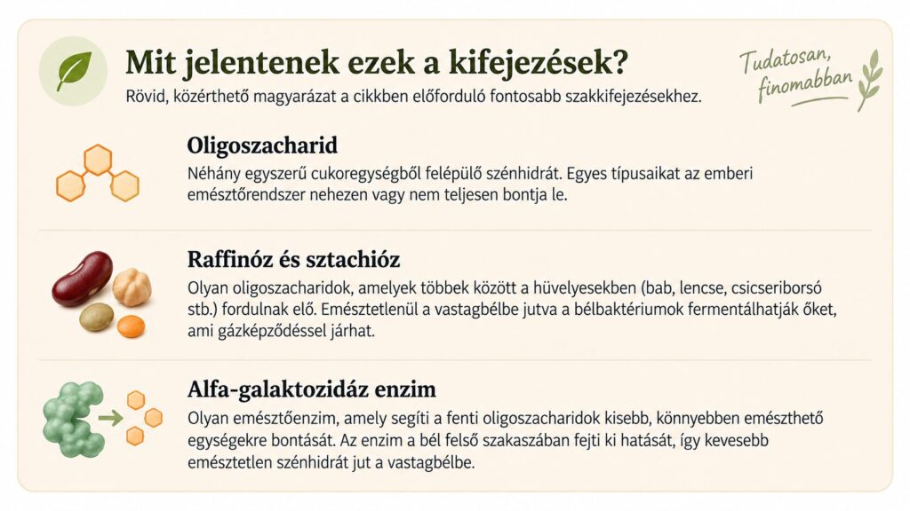 Oligoszacharidok, raffinóz, sztachióz és alfa-galaktozidáz jelentése
