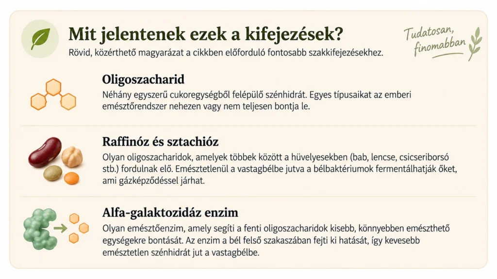 Oligoszacharidok, raffinóz, sztachióz és alfa-galaktozidáz jelentése